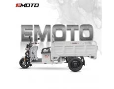 2023 new electric tricycle with EEC COC - ET12 EEC/COC